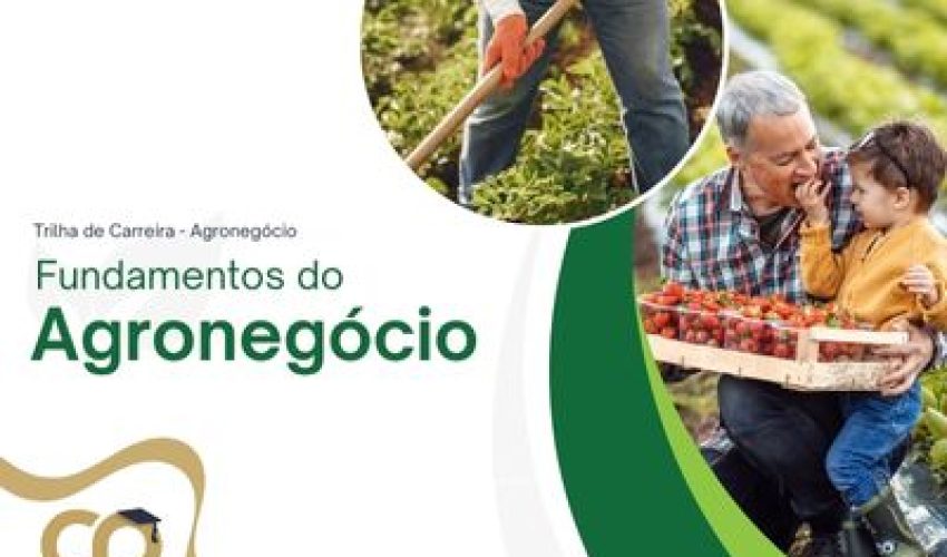 Fundamentos ao Agronegócio Fundamentos ao Agronegócio
